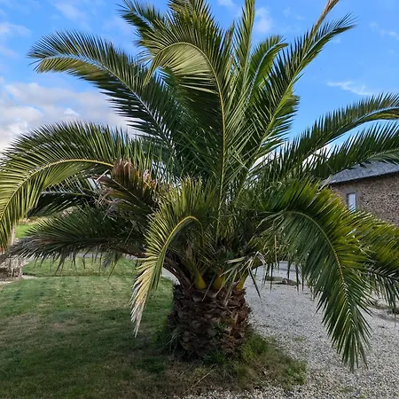 Domaine De Launay Blot Penzion *